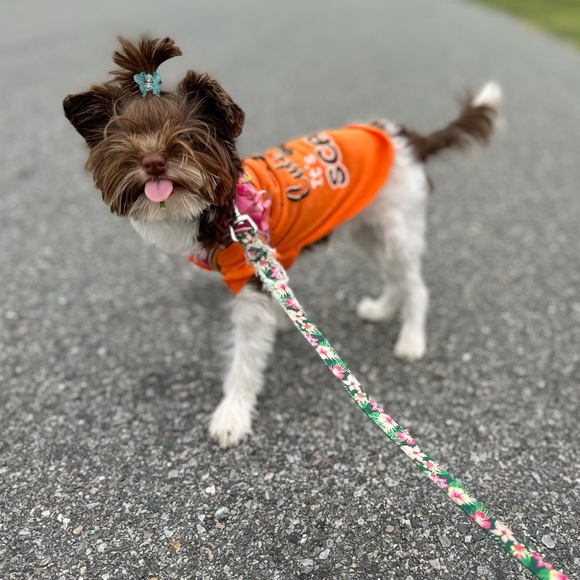 Meet your Posher, Dana - Picture 16 of 16